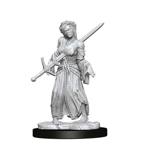 Half-Elf Rogue Female—D&D Nolzur's Marvelous Miniatures W17